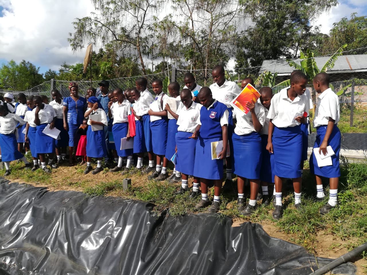 HDI and Fish value chain a visit by Mbitini girls to see the fish farms