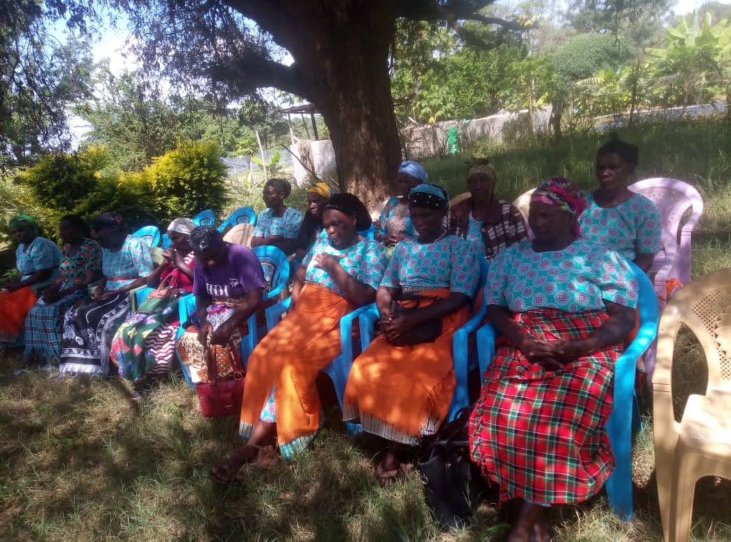HDI AND WIDOWS EMPOWERMENT PROGRAM